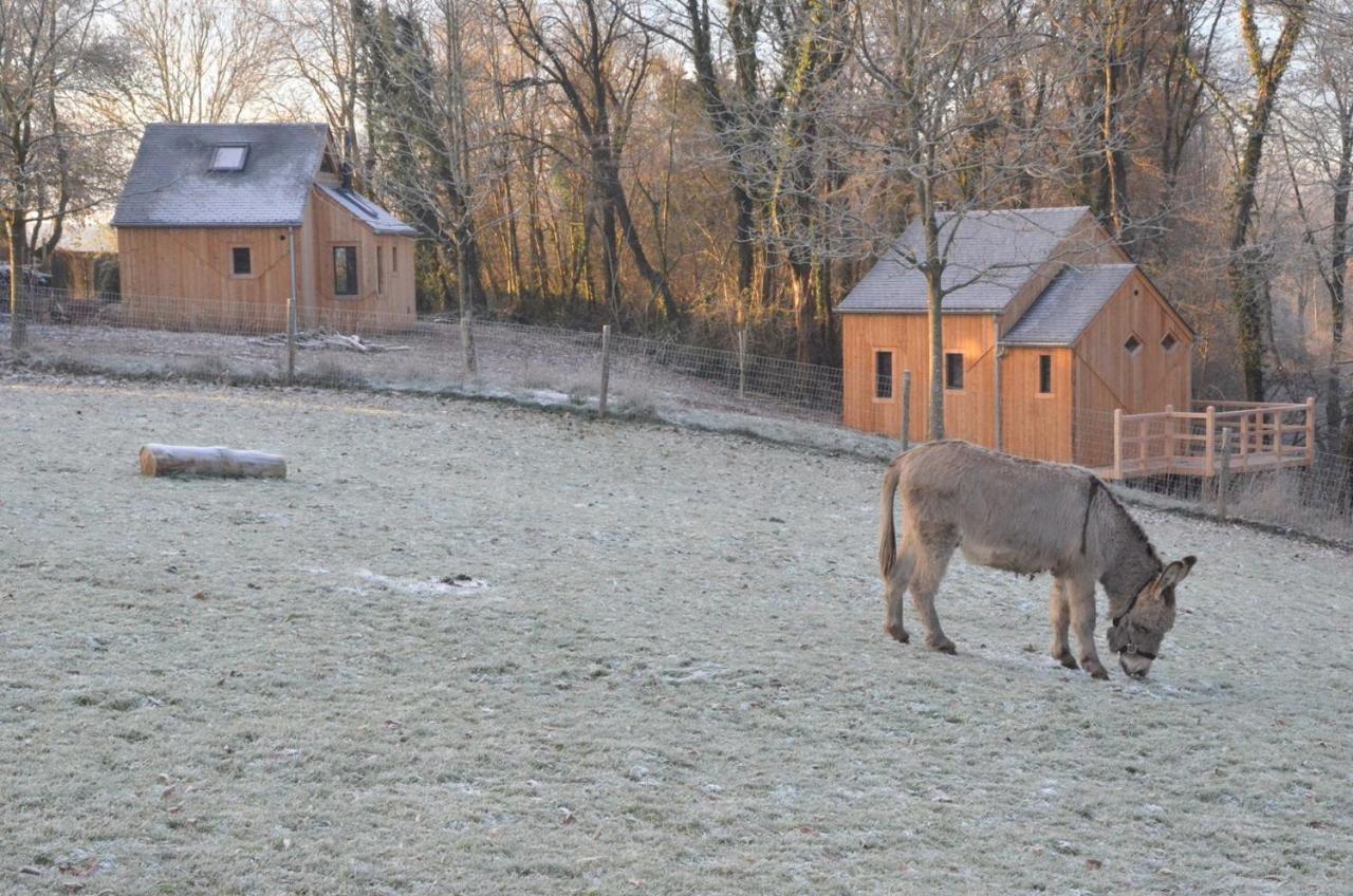 ホテルLes Cabanes Des Pierreux Gesves エクステリア 写真